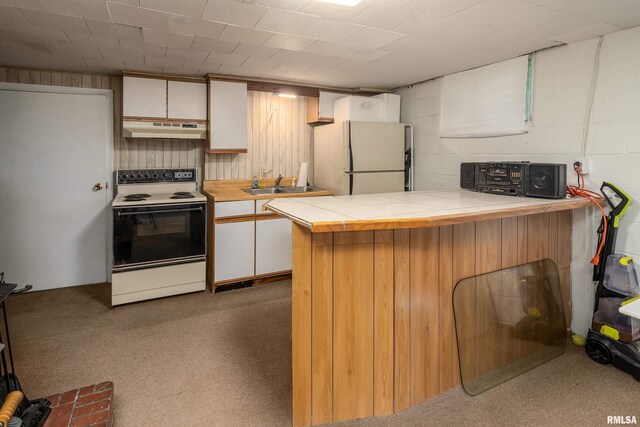 615 W Grand Ave, Carterville, IL 62918 - kitchen featuring electric range oven, under cabinet range hood, freestanding refrigerator, a sink, and white cabinetry
