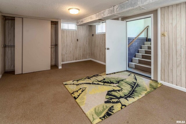 615 W Grand Ave, Carterville, IL 62918 - below grade area featuring carpet flooring, wood walls, stairway, a textured ceiling, and baseboards