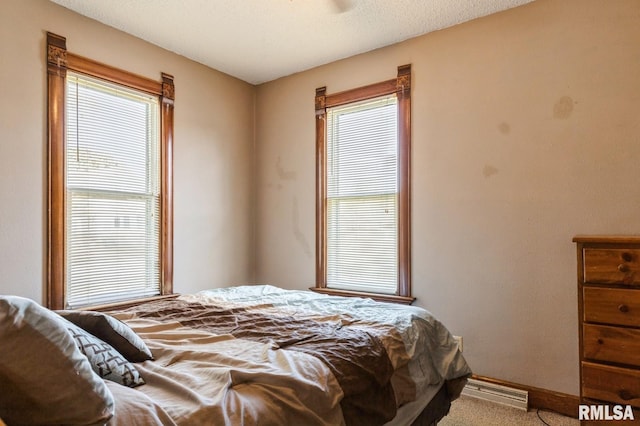 417 12th St, De Witt, IA 52742 - carpeted bedroom with multiple windows and baseboards