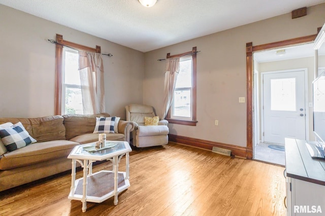 417 12th St, De Witt, IA 52742 - living room with light wood finished floors, plenty of natural light, baseboards, and a textured ceiling