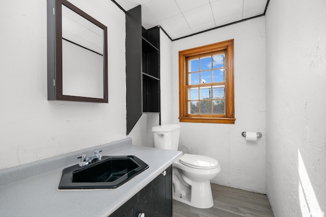 2920 Roosevelt St, Clinton, IA 52732 - bathroom featuring toilet, wood finished floors, and vanity