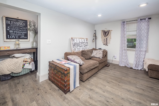 521 E Park St, Geneseo, IL 61254 - living room with wood finished floors, recessed lighting, and baseboards