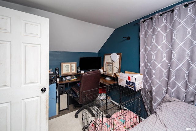 521 E Park St, Geneseo, IL 61254 - carpeted office with lofted ceiling