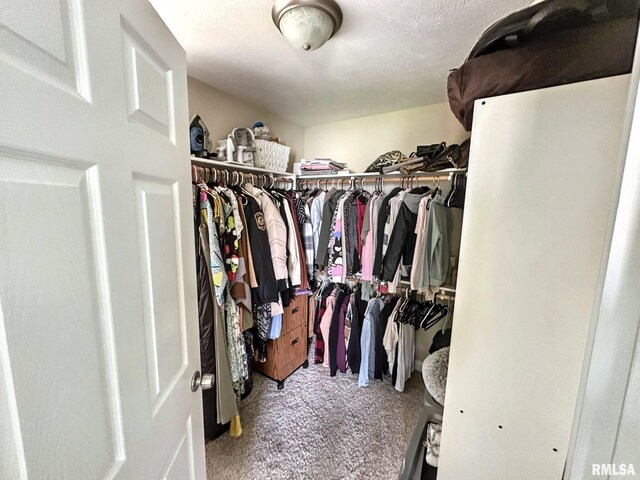 203 Breeze Dr, Carterville, IL 62918 - spacious closet featuring carpet