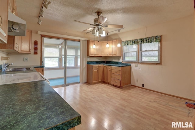 1148 Briarcliff Ln, Clinton, IA 52732 - kitchen featuring a sink, track lighting, light wood-type flooring, a ceiling fan, and stove