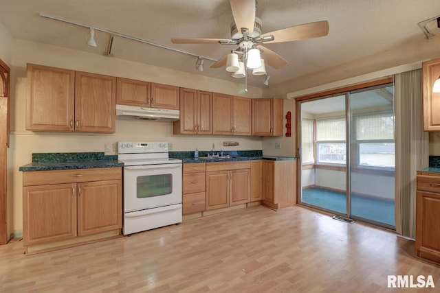 1148 Briarcliff Ln, Clinton, IA 52732 - kitchen with electric stove, under cabinet range hood, track lighting, light wood-style floors, and dark countertops