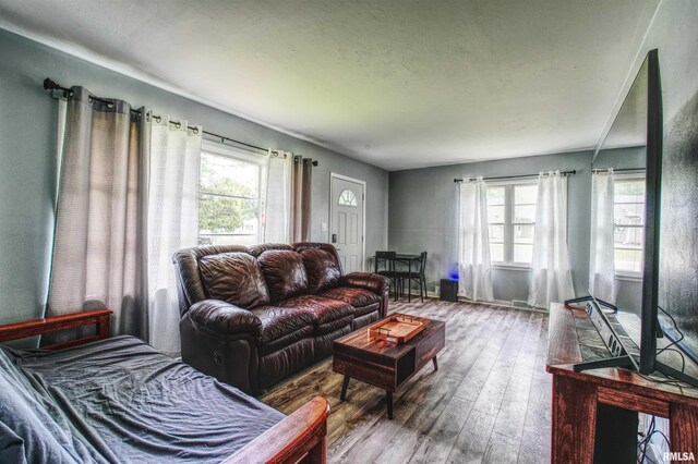 2303 Dunham St, Clinton, IA 52732 - living room with wood-type flooring