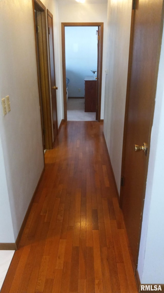1827 13th Ave, Moline, IL 61265 - hall with hardwood / wood-style flooring