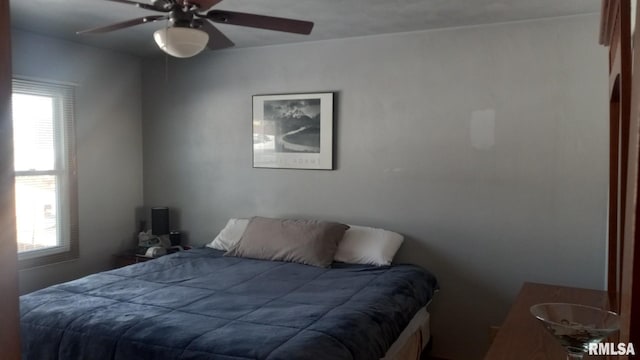 1827 13th Ave, Moline, IL 61265 - bedroom with a ceiling fan