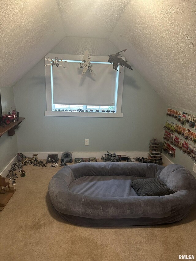 119 S Elm St, Williamsfield, IL 61489 - additional living space with a textured ceiling, vaulted ceiling, carpet floors, and baseboards