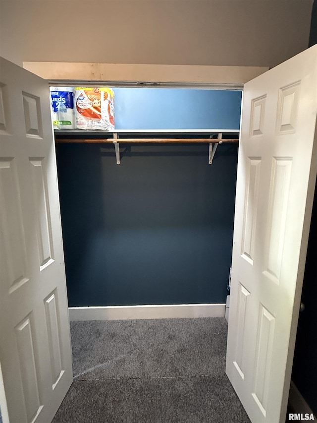 119 S Elm St, Williamsfield, IL 61489 - view of closet