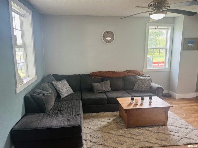 119 S Elm St, Williamsfield, IL 61489 - living area with wood finished floors, a ceiling fan, and baseboards