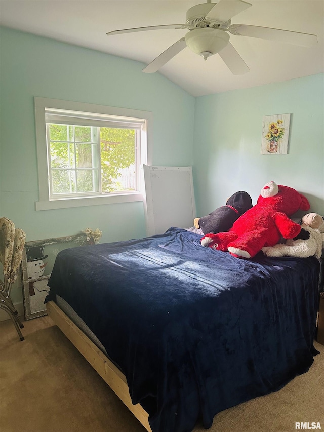 119 S Elm St, Williamsfield, IL 61489 - carpeted bedroom with lofted ceiling and a ceiling fan