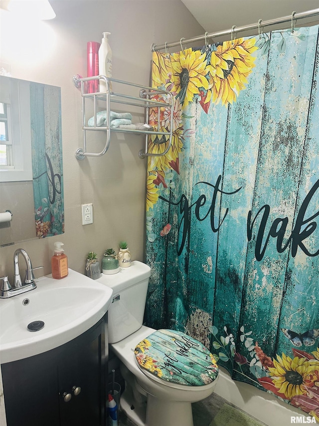 119 S Elm St, Williamsfield, IL 61489 - bathroom with vanity and toilet