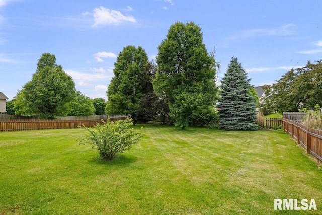 1992 Plum Tree Rd, Bettendorf, IA 52722 - photo 42