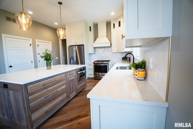 6654 Meghan Ave, Bettendorf, IA 52722 - kitchen featuring a sink, stainless steel appliances, custom exhaust hood, dark wood-style flooring, and decorative backsplash
