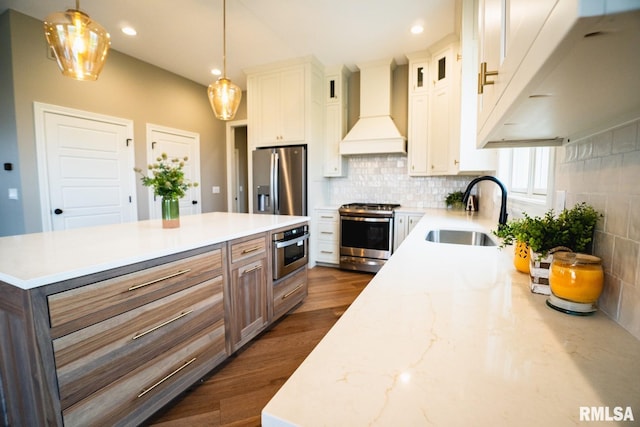 6654 Meghan Ave, Bettendorf, IA 52722 - kitchen featuring stainless steel appliances, premium range hood, a sink, dark wood-style flooring, and tasteful backsplash