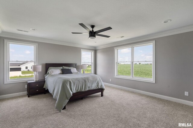 6654 Meghan Ave, Bettendorf, IA 52722 - photo 24