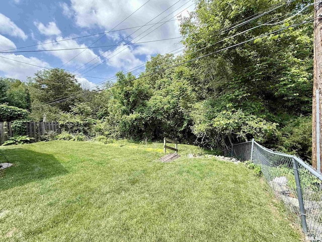 10 Blackhawk Hills Ct, Rock Island, IL 61201 - view of yard