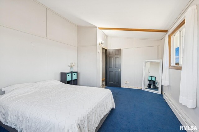 944 45th St, New Boston, IL 61272 - bedroom featuring dark colored carpet and baseboard heating