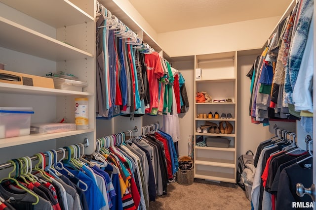 3484 Field Sike Dr, Bettendorf, IA 52722 - walk in closet featuring carpet