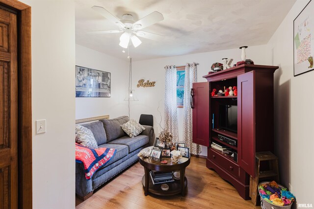 1408 Newton Ave, Johnston City, IL 62951 - living area featuring a ceiling fan and light wood-style flooring