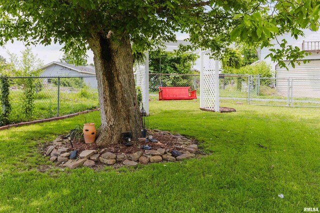1408 Newton Ave, Johnston City, IL 62951 - view of yard
