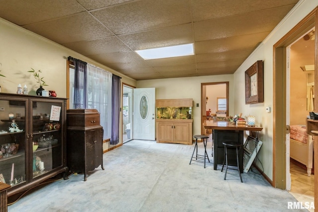 201 4th St, New Boston, IL 61272 - carpeted foyer entrance with a paneled ceiling