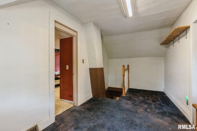201 4th St, New Boston, IL 61272 - additional living space with carpet floors and lofted ceiling
