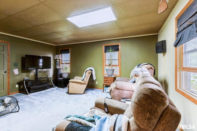 201 4th St, New Boston, IL 61272 - carpeted living room featuring baseboards, a drop ceiling, and ornamental molding