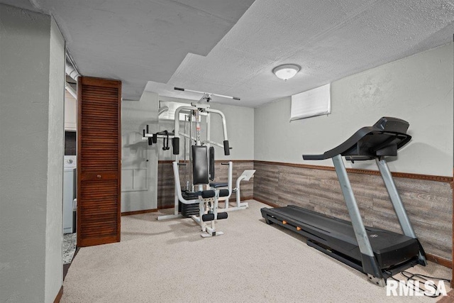 2446 16th Ave, Moline, IL 61265 - workout room with a textured ceiling, a wainscoted wall, carpet flooring, and washer / clothes dryer