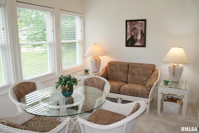 4011 Prairie Ln, Bettendorf, IA 52722 - living room featuring plenty of natural light