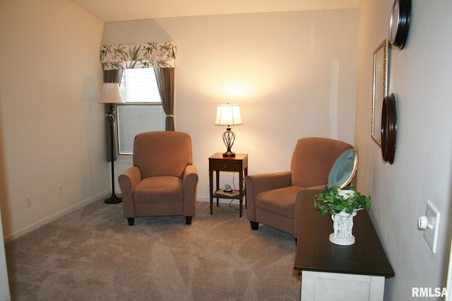 4011 Prairie Ln, Bettendorf, IA 52722 - sitting room with carpet and baseboards