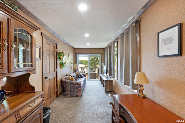 905 1st St, Camanche, IA 52730 - living area featuring a textured ceiling, carpet, a textured wall, and recessed lighting