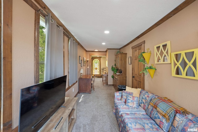 905 1st St, Camanche, IA 52730 - living area featuring carpet flooring, recessed lighting, and baseboards