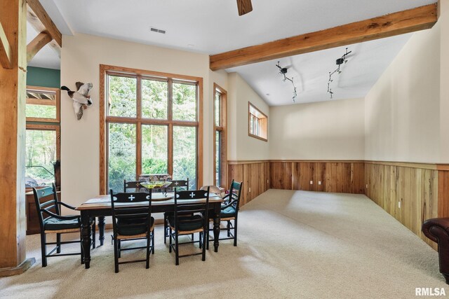 7 Autumn Creek Dr, Coal Valley, IL 61240 - photo 59