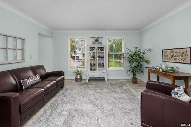 3513 33rd Street Ct, Moline, IL 61265 - living area with wood finished floors, ornamental molding, and baseboards