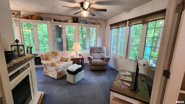 2606 4th Street Ct, East Moline, IL 61244 - living area featuring ceiling fan and dark carpet