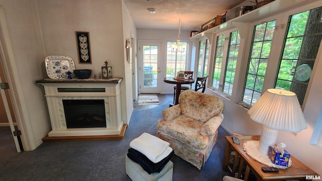 2606 4th Street Ct, East Moline, IL 61244 - living room featuring carpet, baseboards, and a premium fireplace