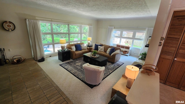 2606 4th Street Ct, East Moline, IL 61244 - living room with a textured ceiling and light tile patterned flooring
