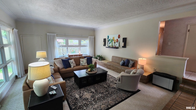 2606 4th Street Ct, East Moline, IL 61244 - living area with a textured ceiling, ornamental molding, and tile patterned flooring