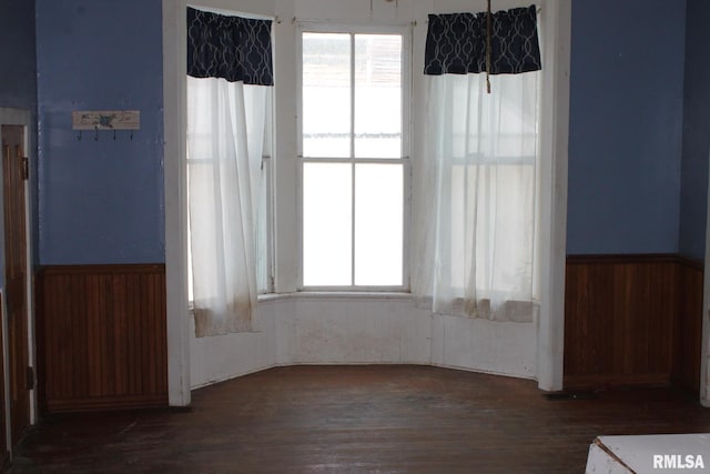 205 W Court St, Cambridge, IL 61238 - unfurnished room with wainscoting and wood finished floors