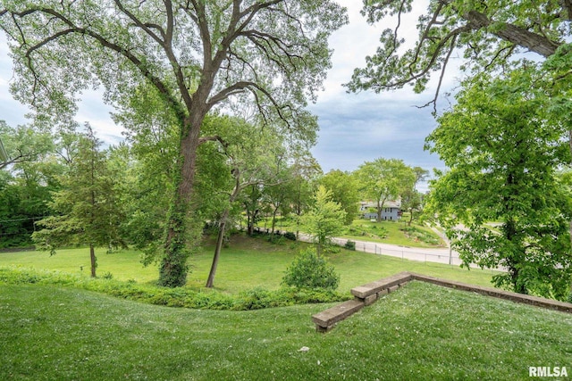 1872 19th Ave, Moline, IL 61265 - view of green lawn