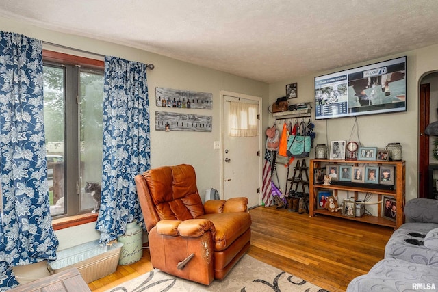 1013 Kirkpatrick St, Benton, IL 62812 - living area with wood finished floors and a textured ceiling