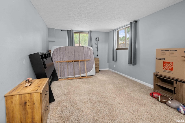 5721 Taylor St, Davenport, IA 52806 - sitting room featuring a textured ceiling, carpet flooring, and baseboards