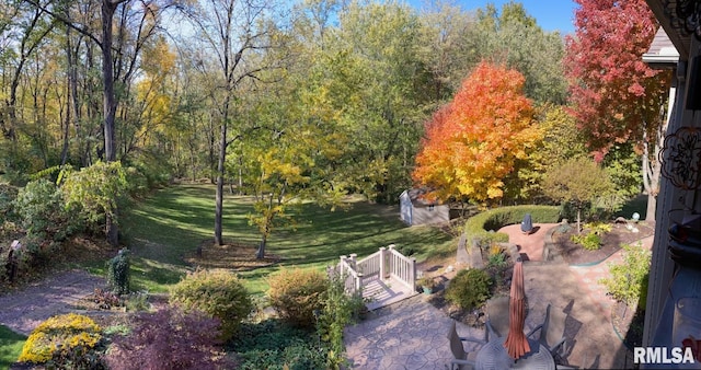 461 45th Ave, East Moline, IL 61244 - view of green lawn