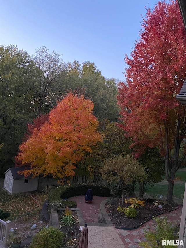 461 45th Ave, East Moline, IL 61244 - view of yard featuring a patio area