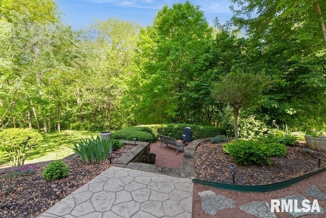 461 45th Ave, East Moline, IL 61244 - view of yard featuring a patio