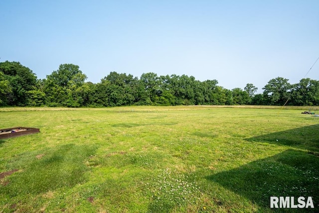 11271 W Center Rd, Mulkeytown, IL 62865 - view of grassy yard