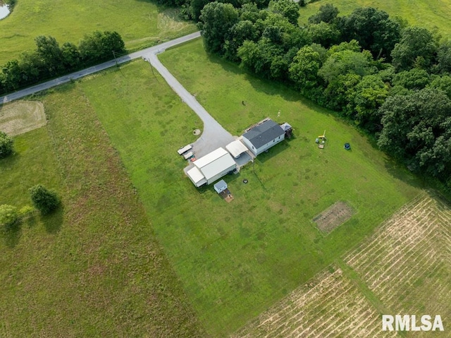 11271 W Center Rd, Mulkeytown, IL 62865 - aerial view of sparsely populated area